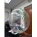 Helium Bubble balloon with custom sticker